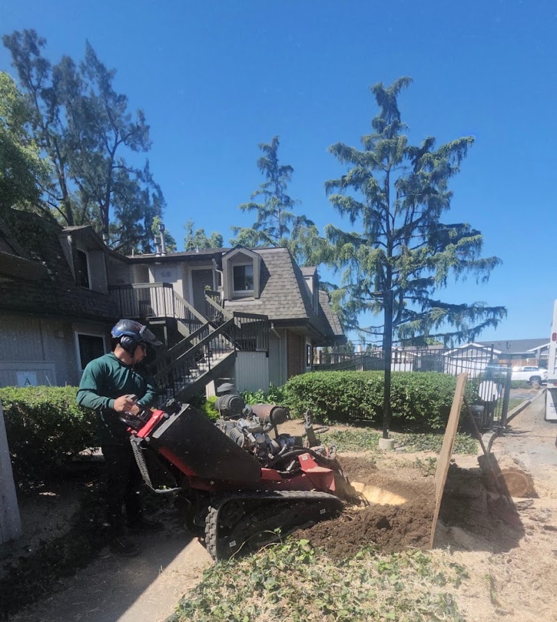 Photo of Appletree Services Inc
