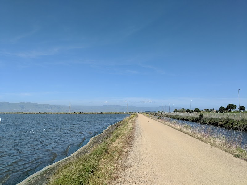 Martin Luther King Park photo 4