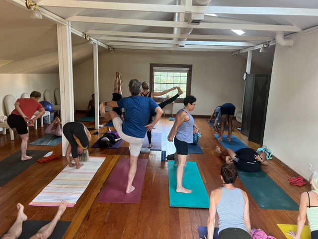 Photo of BAYOGA Ashtanga Yoga Studio
