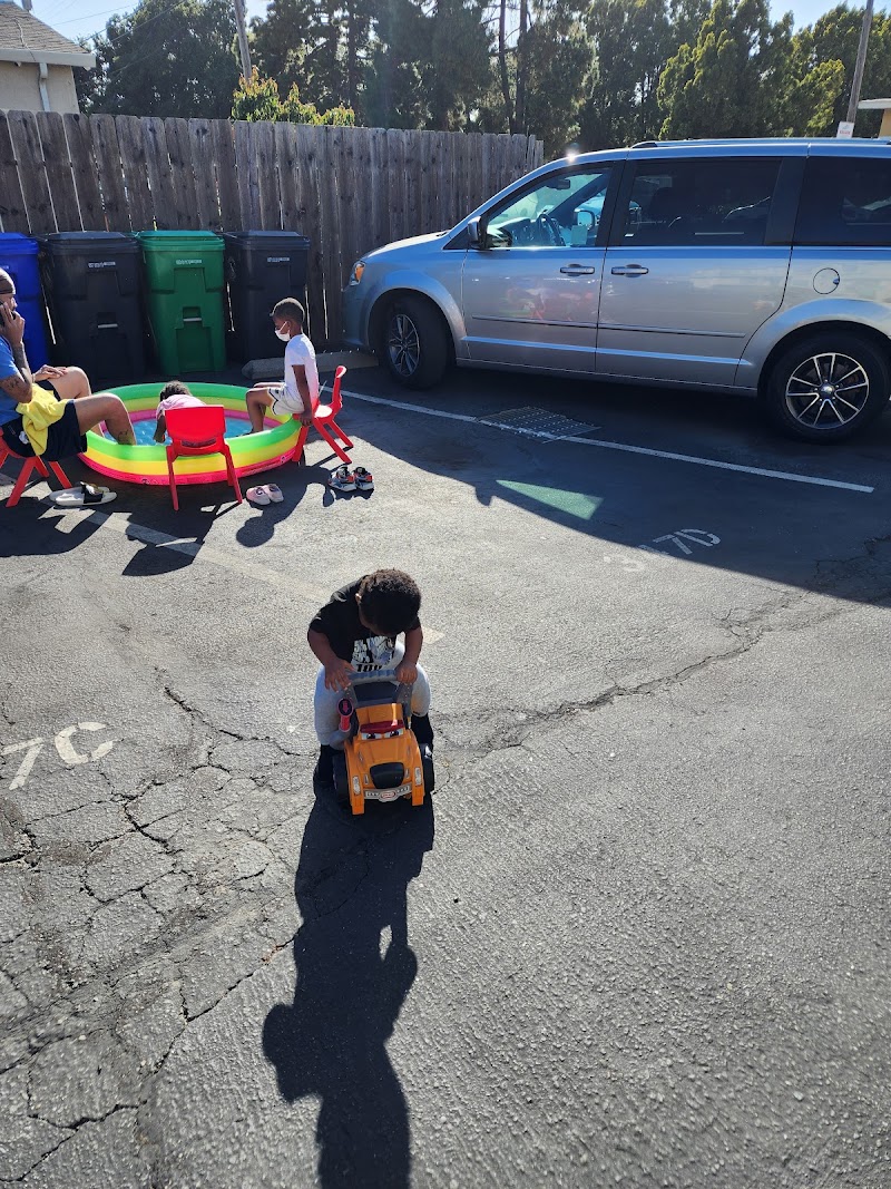 Buttafllys Playcare photo 3