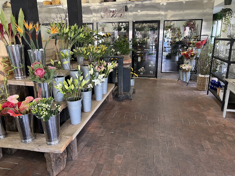 Dottie's Flowers & Plants photo 2