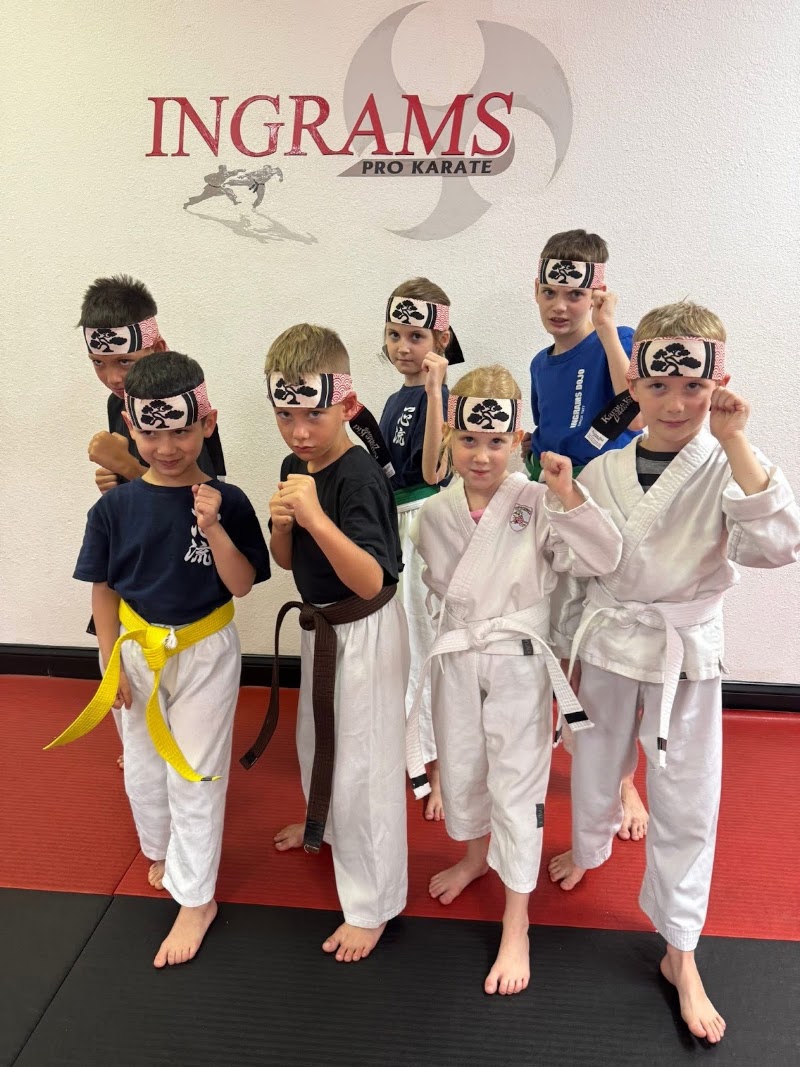 Ingram's Karate Center photo 5