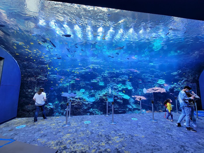 Georgia Aquarium photo 2