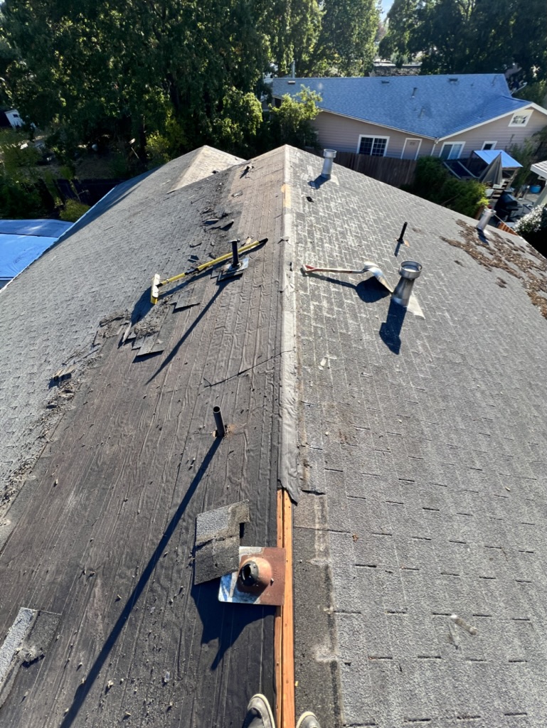 Angelo's Roofing, Inc. photo 4