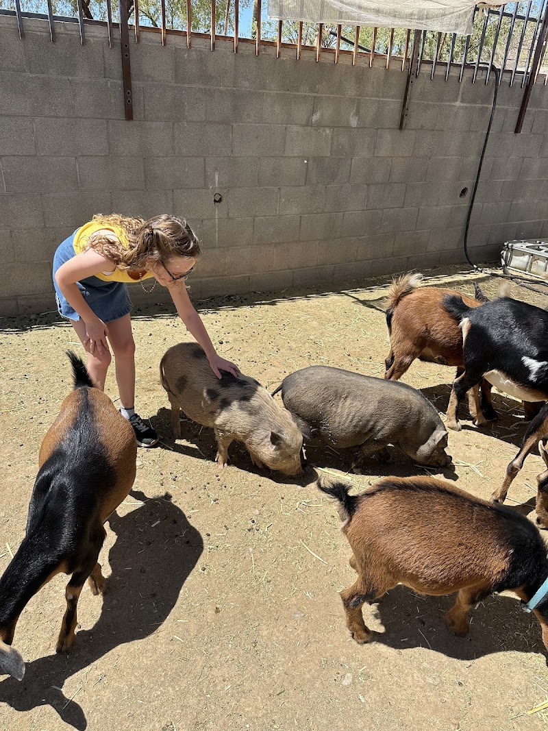 One Of A Kind Petting Zoo photo 4