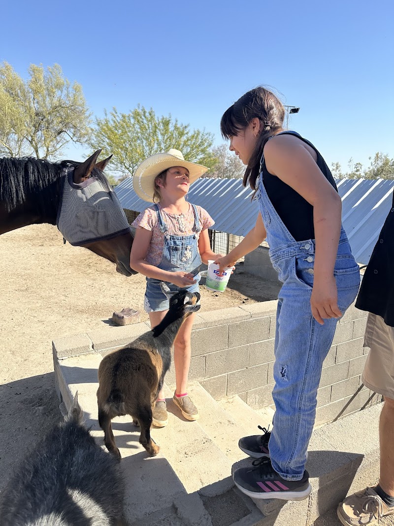 One Of A Kind Petting Zoo photo 3