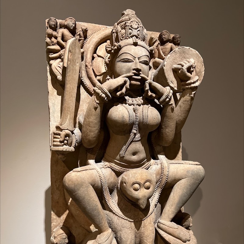 San Antonio Museum of Art photo 5