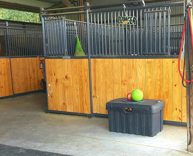 Harmony Stables photo 2