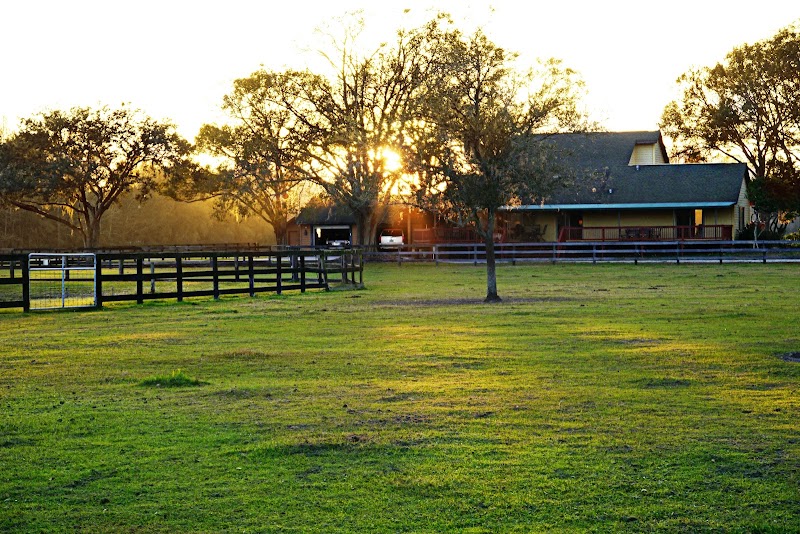 Harmony Stables photo 3