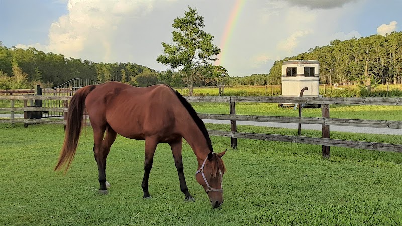 Photo of Harmony Stables