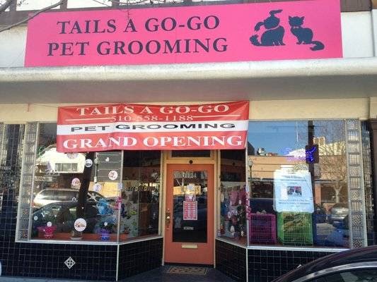 Tails A Go-Go photo 4