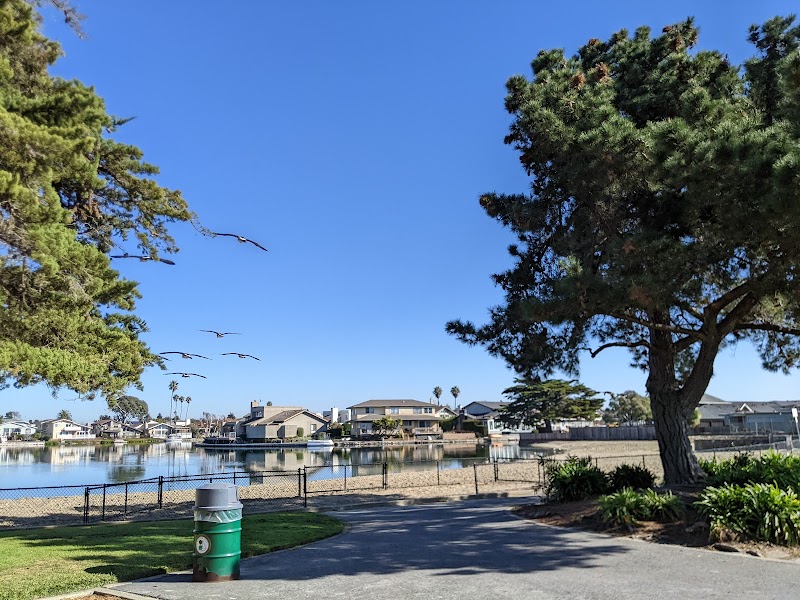 Gull Park photo 4