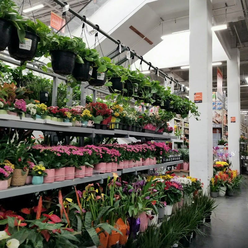 Garden Center at The Home Depot photo 2