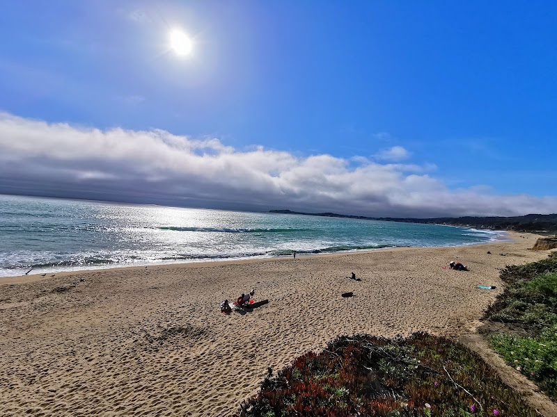 Half Moon Bay State Beach- Dunes Beach Parking Lot photo 3