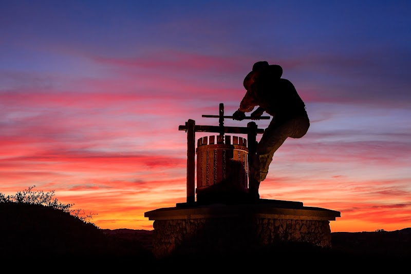 Wine Tour Drivers - Napa Valley, Sonoma County, Lodi & Sierra Foothills photo 4