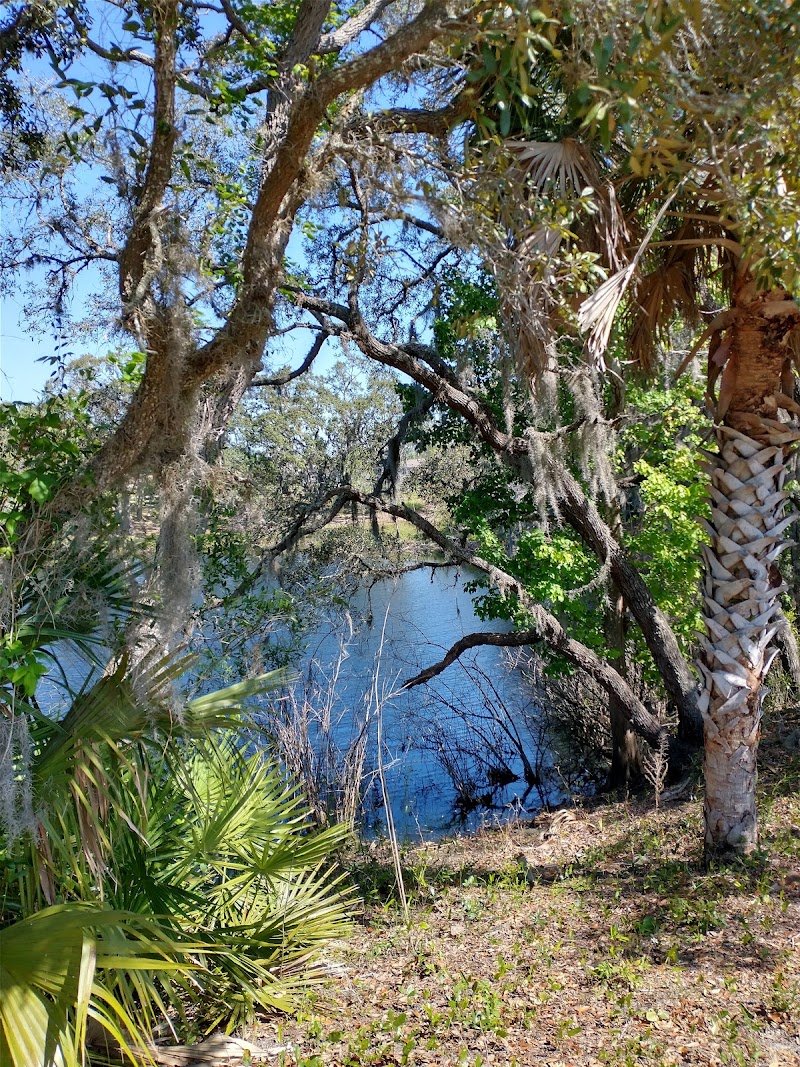 Photo of Paleo Park