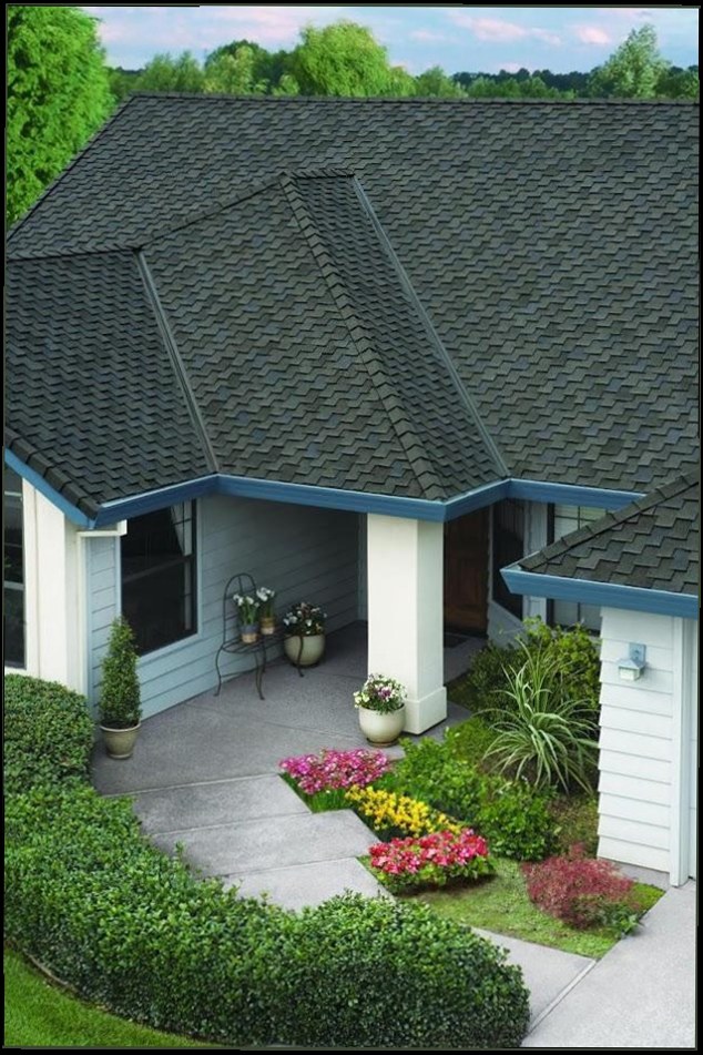 Treven Zael Roofers photo 5