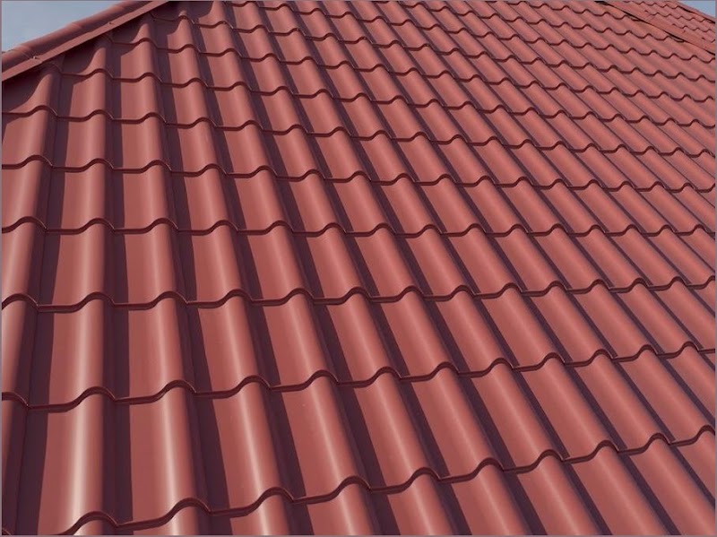 Treven Zael Roofers photo 2