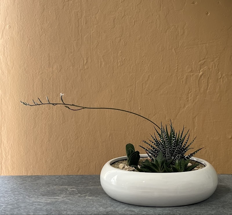 Little Leaf Design photo 2