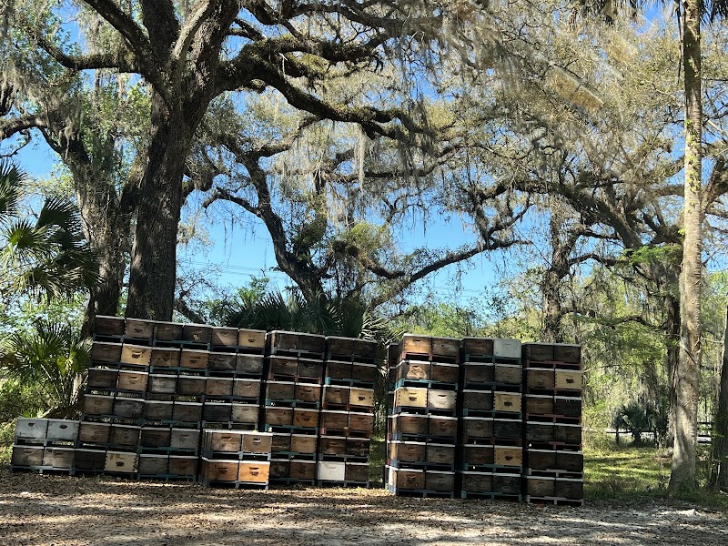 Photo of Indian Summer Honey Farm