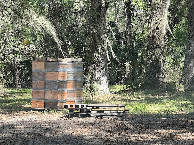 Indian Summer Honey Farm photo 3