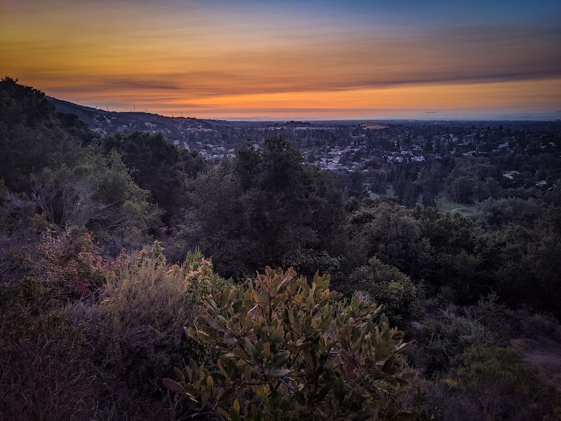 Linda Vista Park photo 4