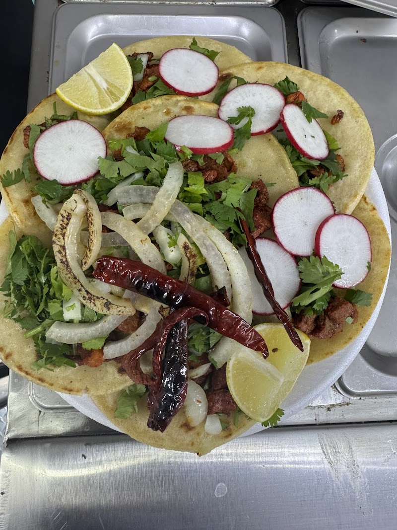 Taqueria Los Girasoles 2 photo 2