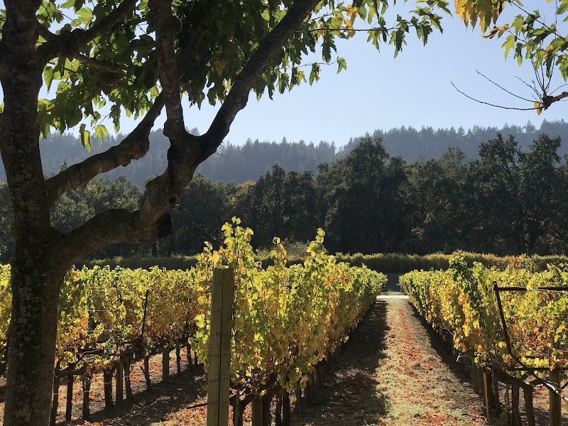 Duckhorn Vineyards photo 5