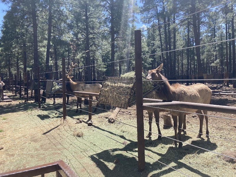 Fort Bearizona photo 5