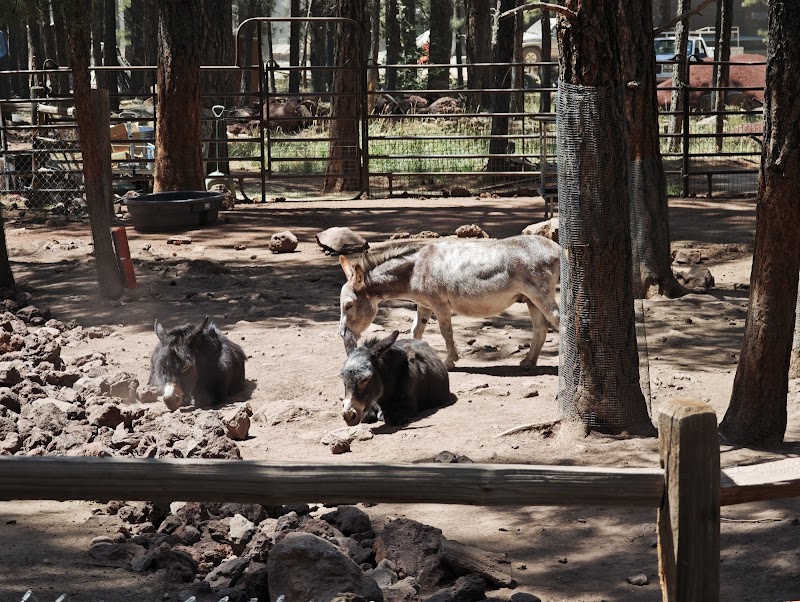 Photo of Fort Bearizona