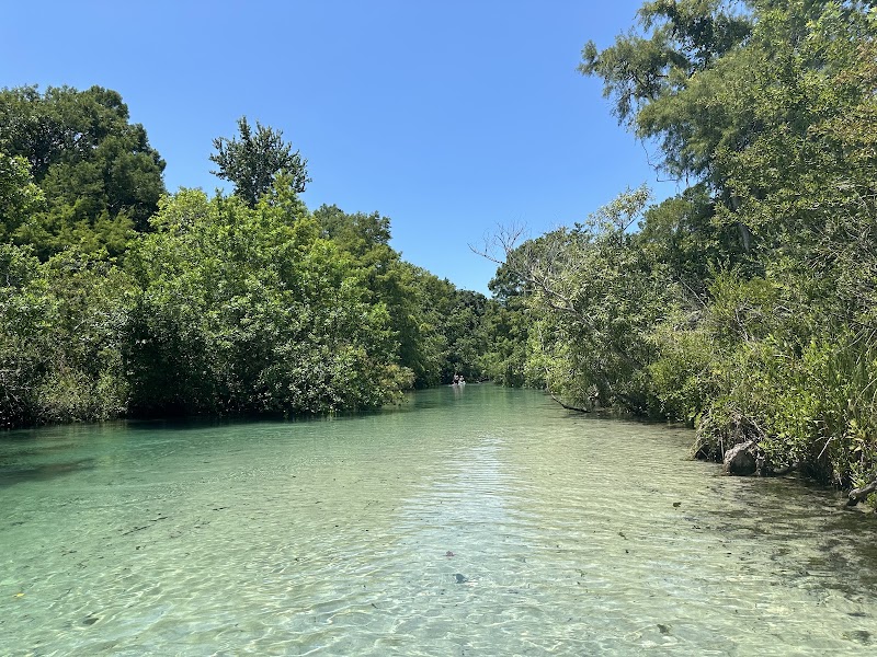 Weeki Wachee Waterfront Airstream Glamping Experience (Book at BigLoveGlamping.com) photo 3