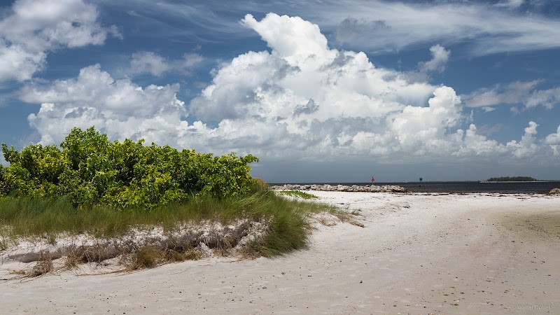 Apollo Beach Preserve photo 3