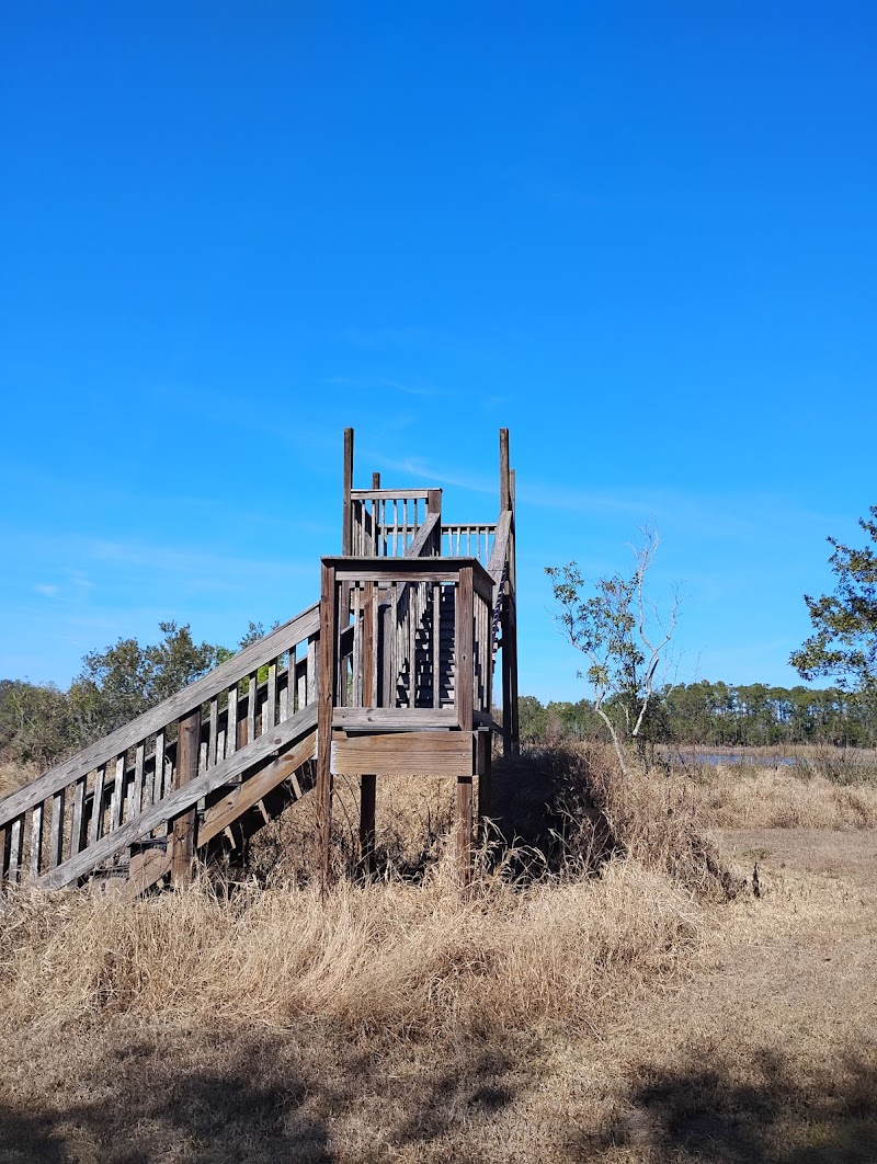 Florida Scrub-Jay Trail photo 4