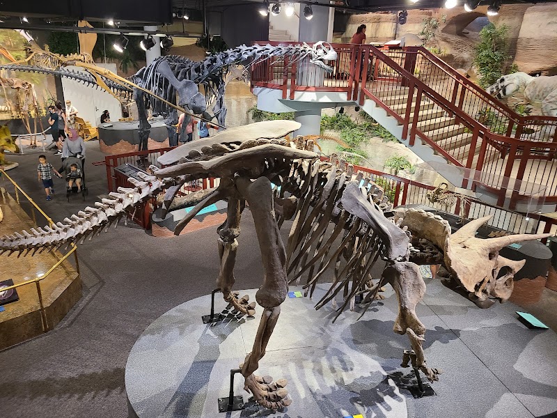Arizona Museum of Natural History photo 3