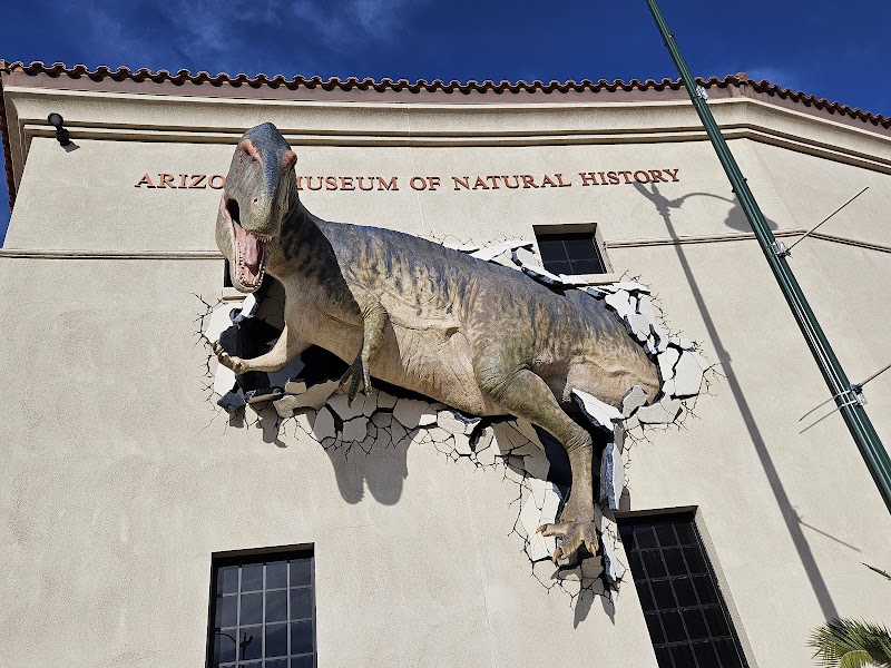 Arizona Museum of Natural History photo 2