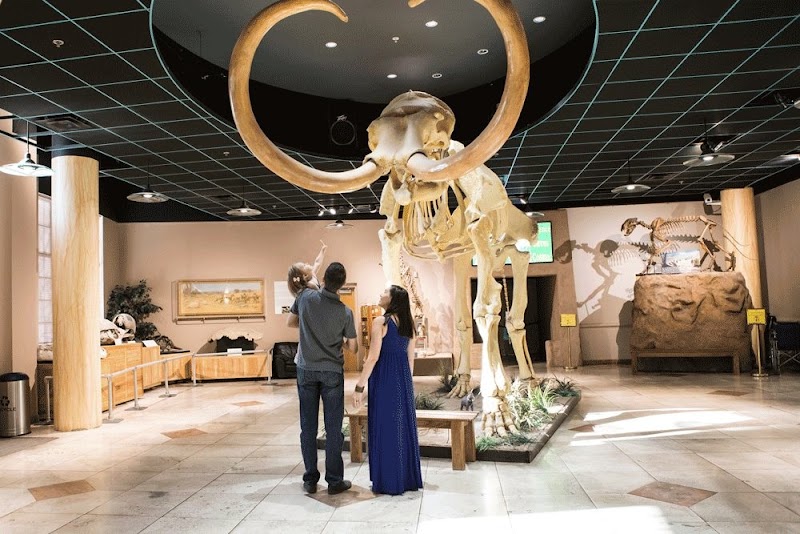 Arizona Museum of Natural History photo 5