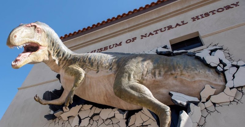 Photo of Arizona Museum of Natural History