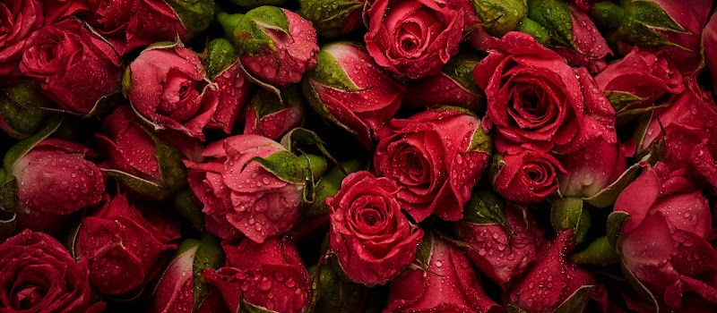 Rustic Flowers photo 2