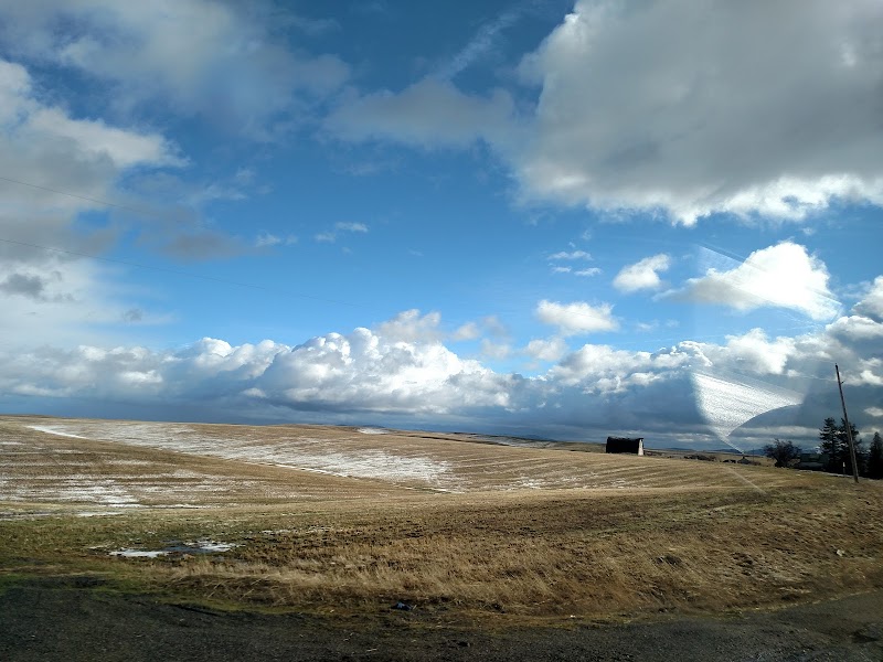 Valleyford County Park photo 3