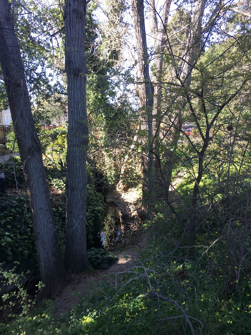 Photo of Codornices Creek