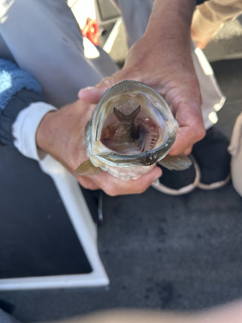 Big Bass Guide Service photo 2