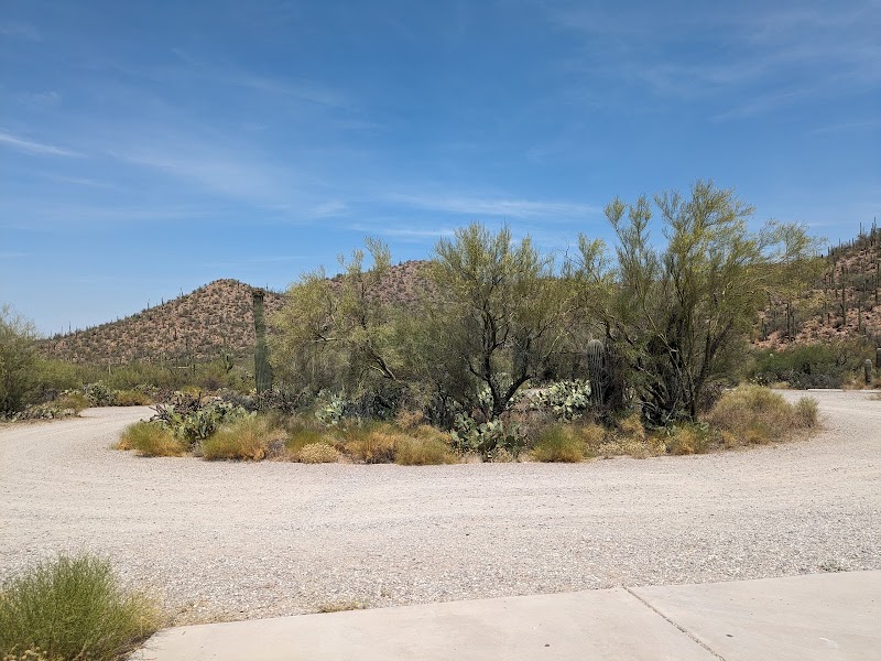 Photo of Parking Lot