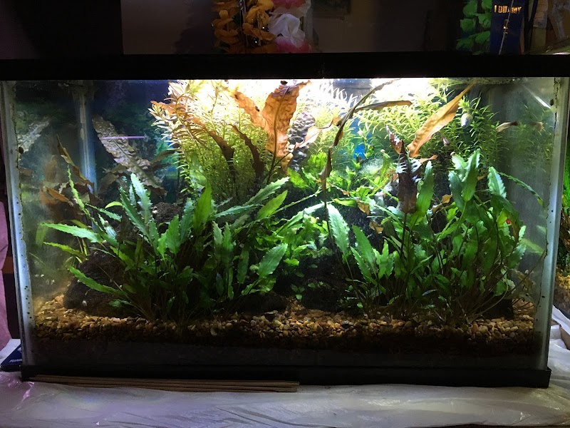 Photo of Joe's Aquariums