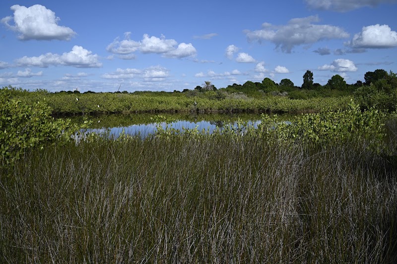 Wolf Branch Creek Nature Preserve photo 2