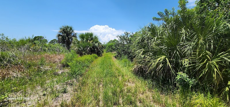 Wolf Branch Creek Nature Preserve photo 3