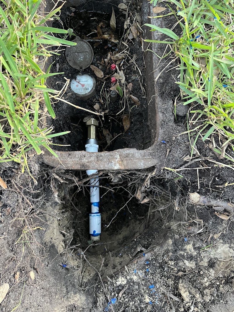 Dynamic Plumbing Plus photo 5
