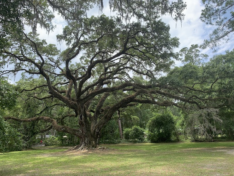 Photo of Dade Battlefield Historic State Park