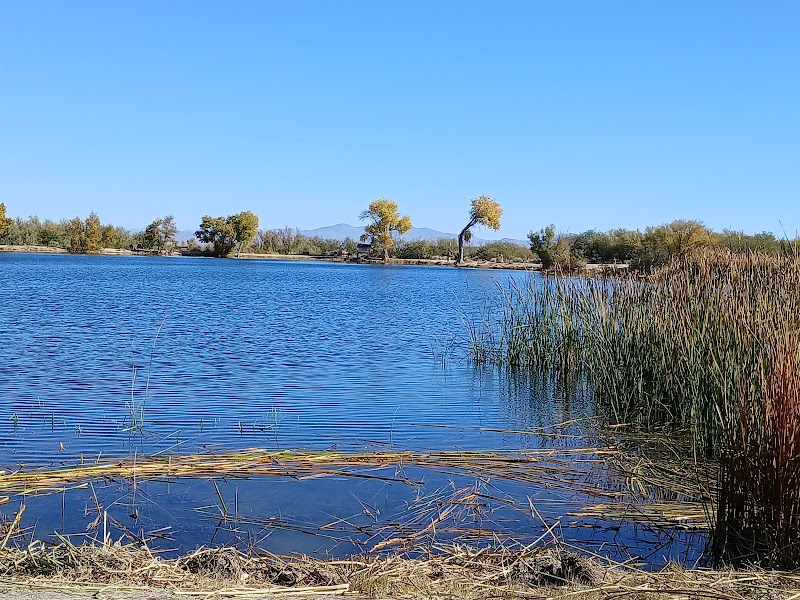 Dankworth Pond State Park photo 4