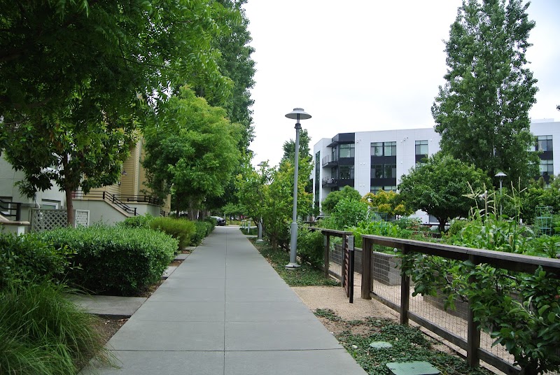 Bay Meadows Community Gardens photo 2