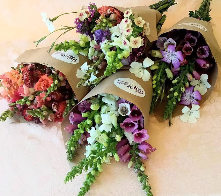 Photo of Bloomin Beauties